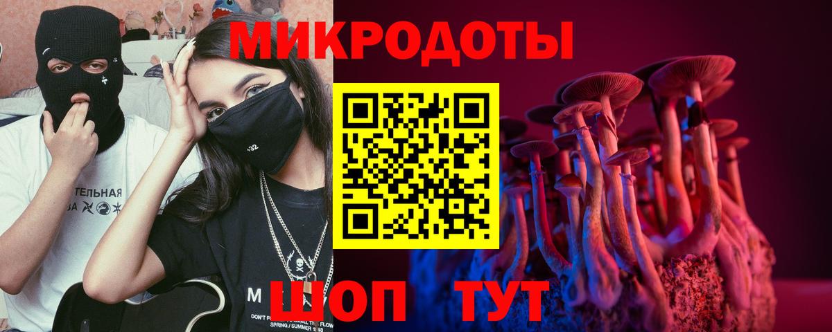 купить наркотик  Псилоцибиновые грибы Magic Shrooms  Вход с VPN  Галлюциногенные грибы MAGIC MUSHROOMS  Махачкала 